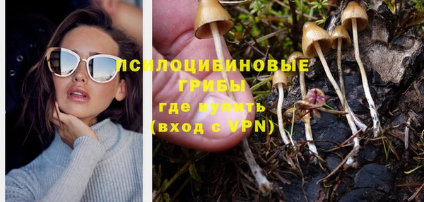 альфа пвп Мурманск