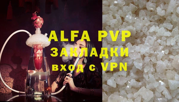 сатива Янаул